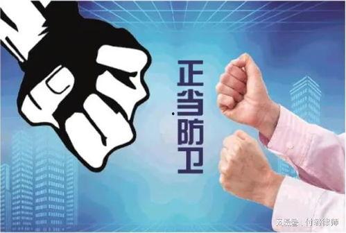 爆料冻货暴利事件案例视频,一场冰封下的财富盛宴  第1张