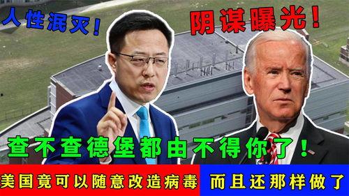 冠状病毒爆料视频,深度解析爆料视频背后的真相  第2张